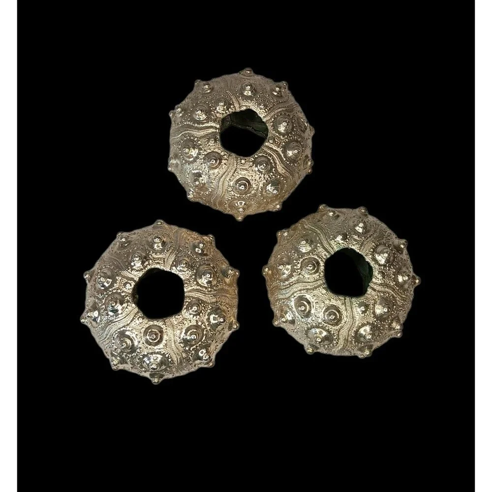 Set of 3 Sputnik Real Sea Urchin Candle Holders Painted Metallic Gold 2.5 x 1.75